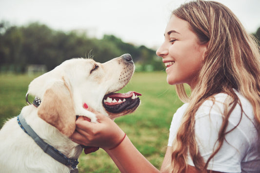  A girl interacts lovingly with a dog in a green field, emphasizing the importance of  of maintaining your pet's skin and coat by Venttura Bioceuticals