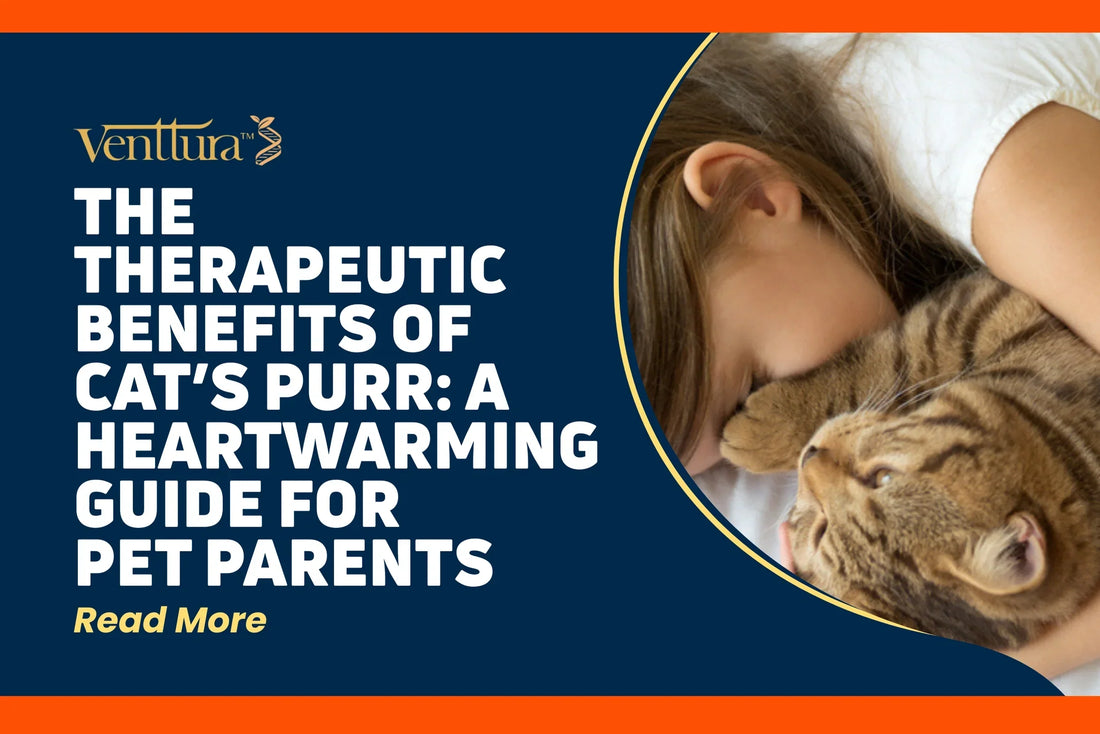 The Therapeutic Benefits of a Cat’s Purr – child bonding with cat for emotional comfort by venttura biceuticals