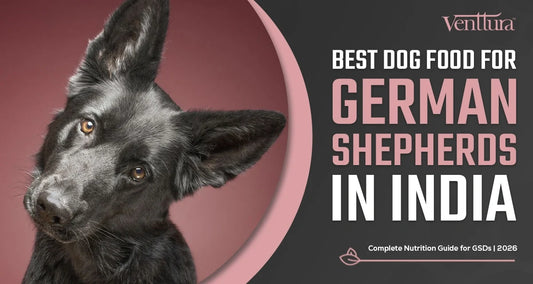 Best dog food for german sheperds in india 