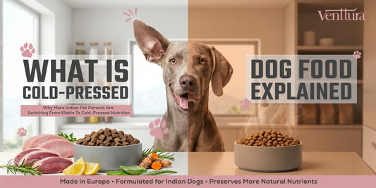 cold pressed dog food vs kibble explained — why indian pet parents are switching to venttura cold pressed nutrition made in europe