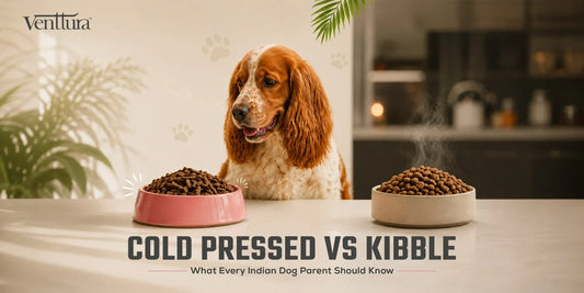 Why Cold Pressed Dog Food is Better Than Kibble - A Complete Comparison for Indian Dog Parents