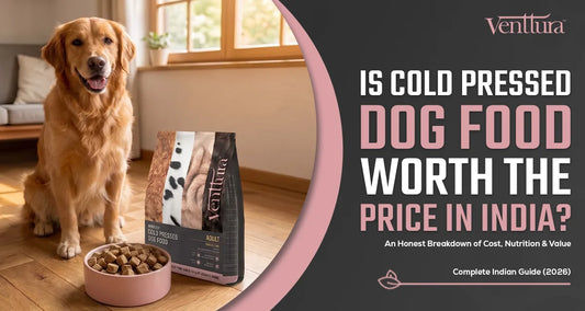 Is cold pressed dog food worth the price in India? Comparing cold-pressed dog food with conventional kibble.