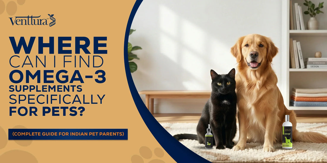 Healthy dog and cat with shiny coats representing the benefits of omega fatty acids for pets, supporting skin health, coat shine, joint support, and overall pet wellness.