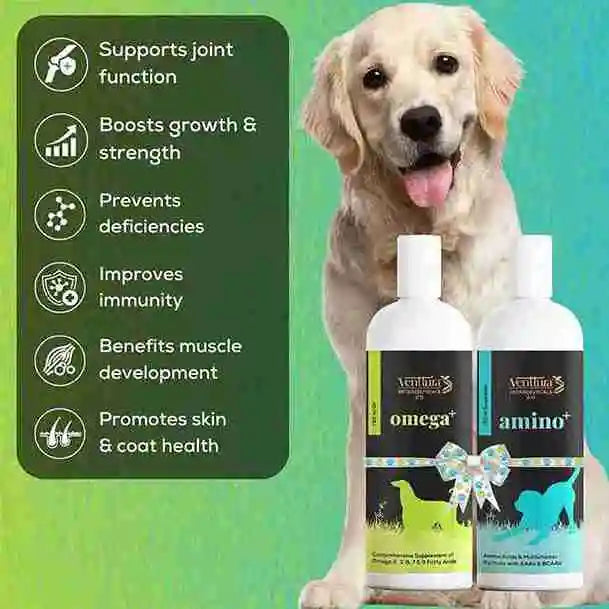 Energy-boosting supplements for dogs and cats to enhance stamina, strength, and vitality by Venttura Bioceuticals