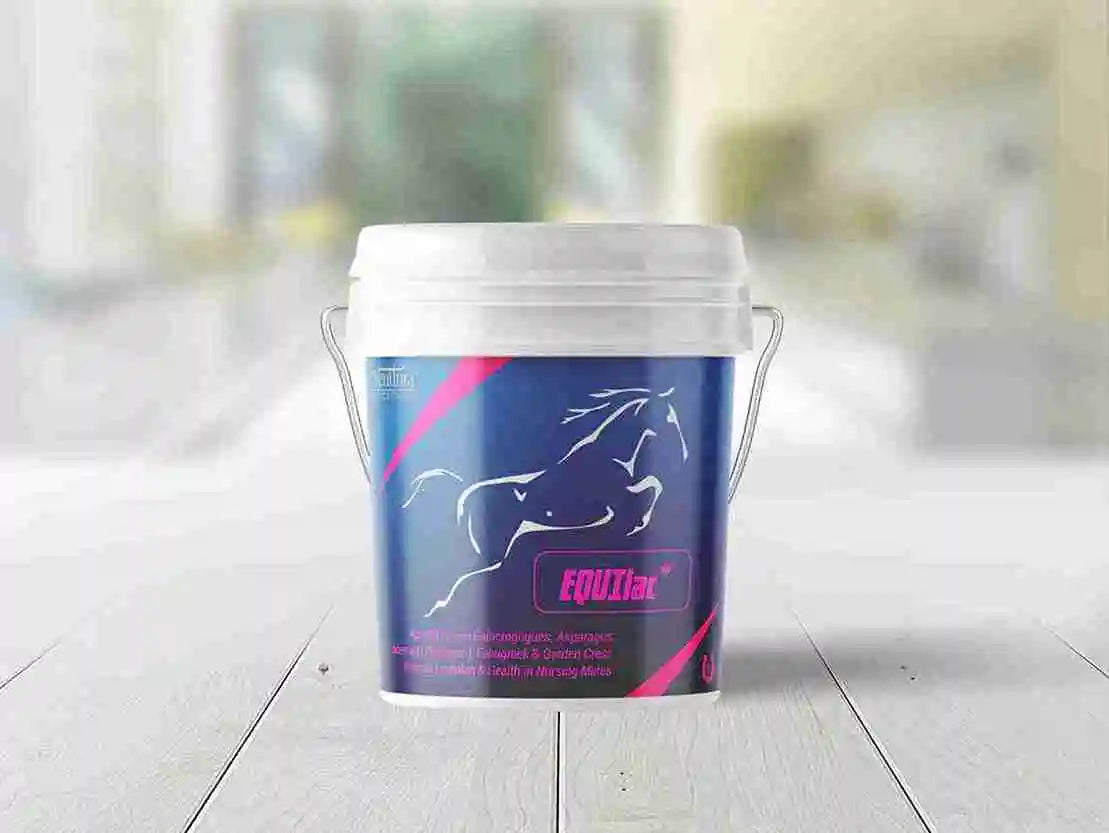 EQUIlac+ lactation supplement for horses by Venttura Bioceuticals – boosts milk production, improves milk quality, and supports uterine health in nursing mares