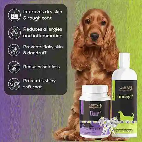 Omega+ for dogs, Omega+ for cats, Amino+ for dogs, and Amino+ for cats by Venttura Bioceuticals – promotes healthy fur, reduces shedding, and enhances coat shine naturally.