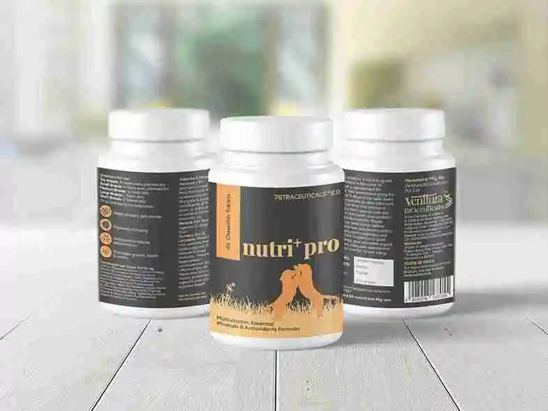 Vitality supplements for dogs, cats, and horses to boost energy, strength, and overall health by Venttura Biocueticals