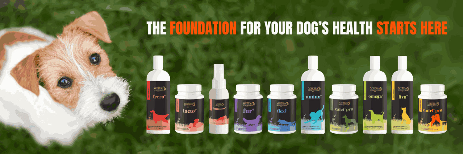 Explore Venttura Bioceuticals' full range of pet supplements for dogs, cats & horses – premium health solutions for immunity, joints, coat & vitality