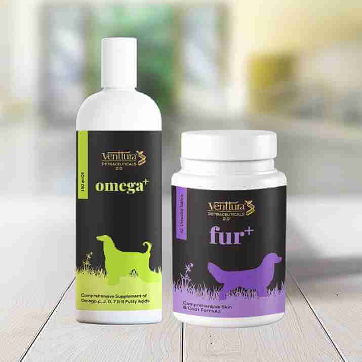 Supplements for weakness in dogs, cats, and horses – boost energy, muscle strength, and vitality with Omega+, Amino+, Nutri+ Pro, and EQUIhance+
