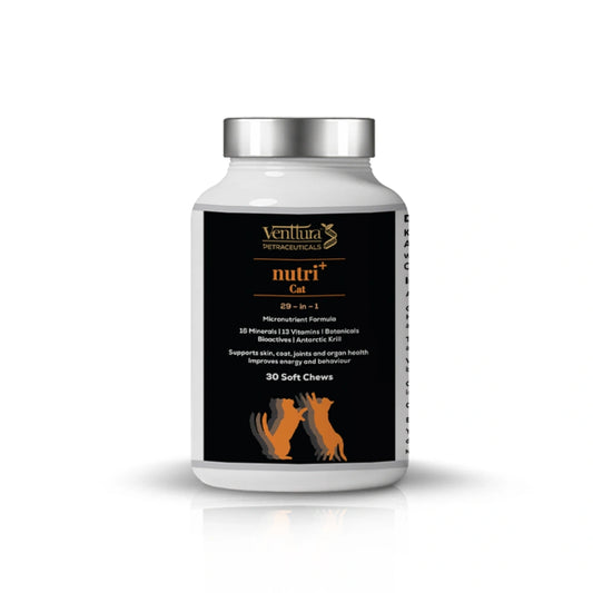 nutri+ Cat | Live Longer | Feel Stronger
