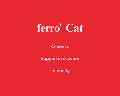 ferro+ Cat