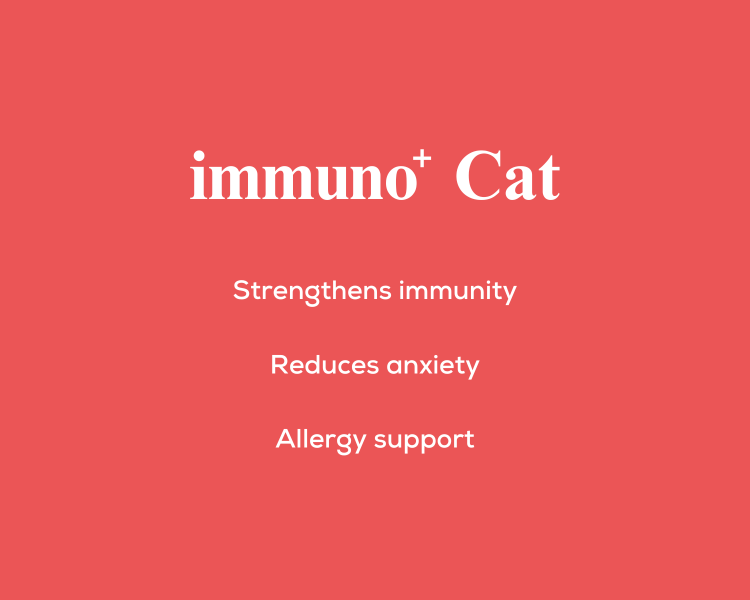 immuno+ Cat