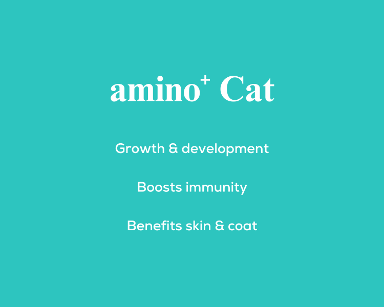 amino+ Cat