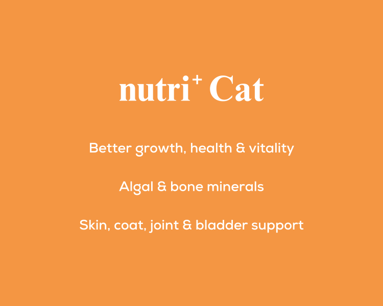 nutri+ Cat | Live Longer | Feel Stronger