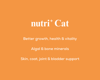 nutri+ Cat | Live Longer | Feel Stronger