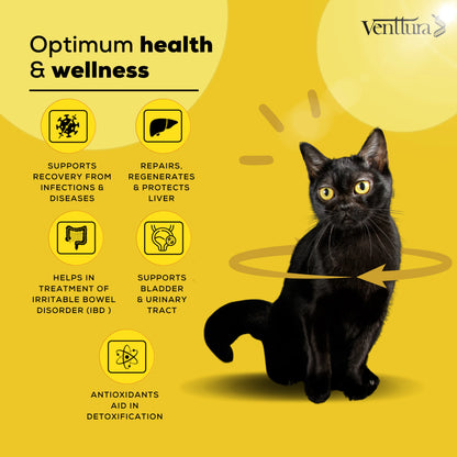 A black cat sitting with an overlay showcasing the benefits of Livo+ Cat supplement, including liver repair, detoxification, urinary tract support, and antioxidant protection.