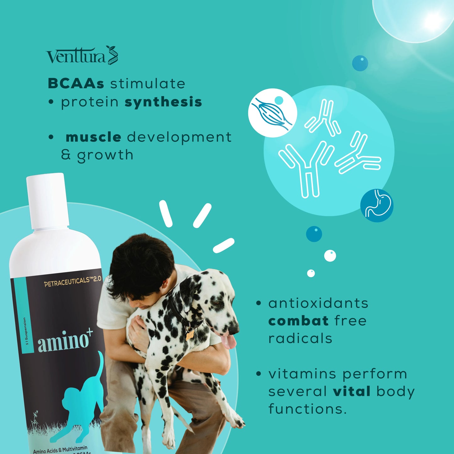 A pet parent holding his dog  beside amino+ supplement bottle by venttura bioceuticals