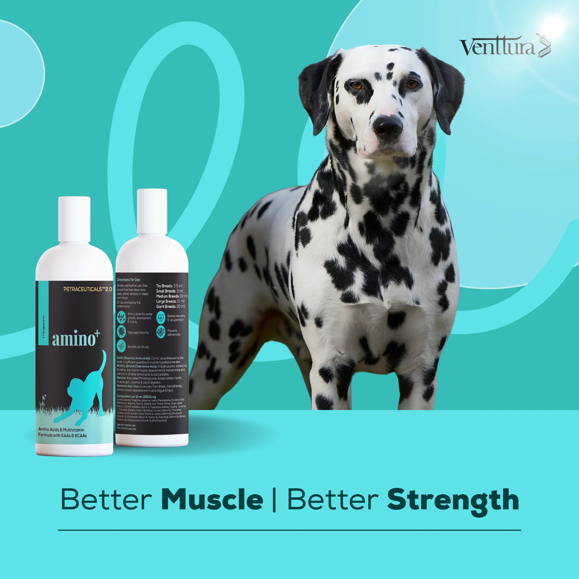 A Dog standing tall beside amino+ supplement for dog bottle stating Better muscle and better strength by ventuttra bioceuticals