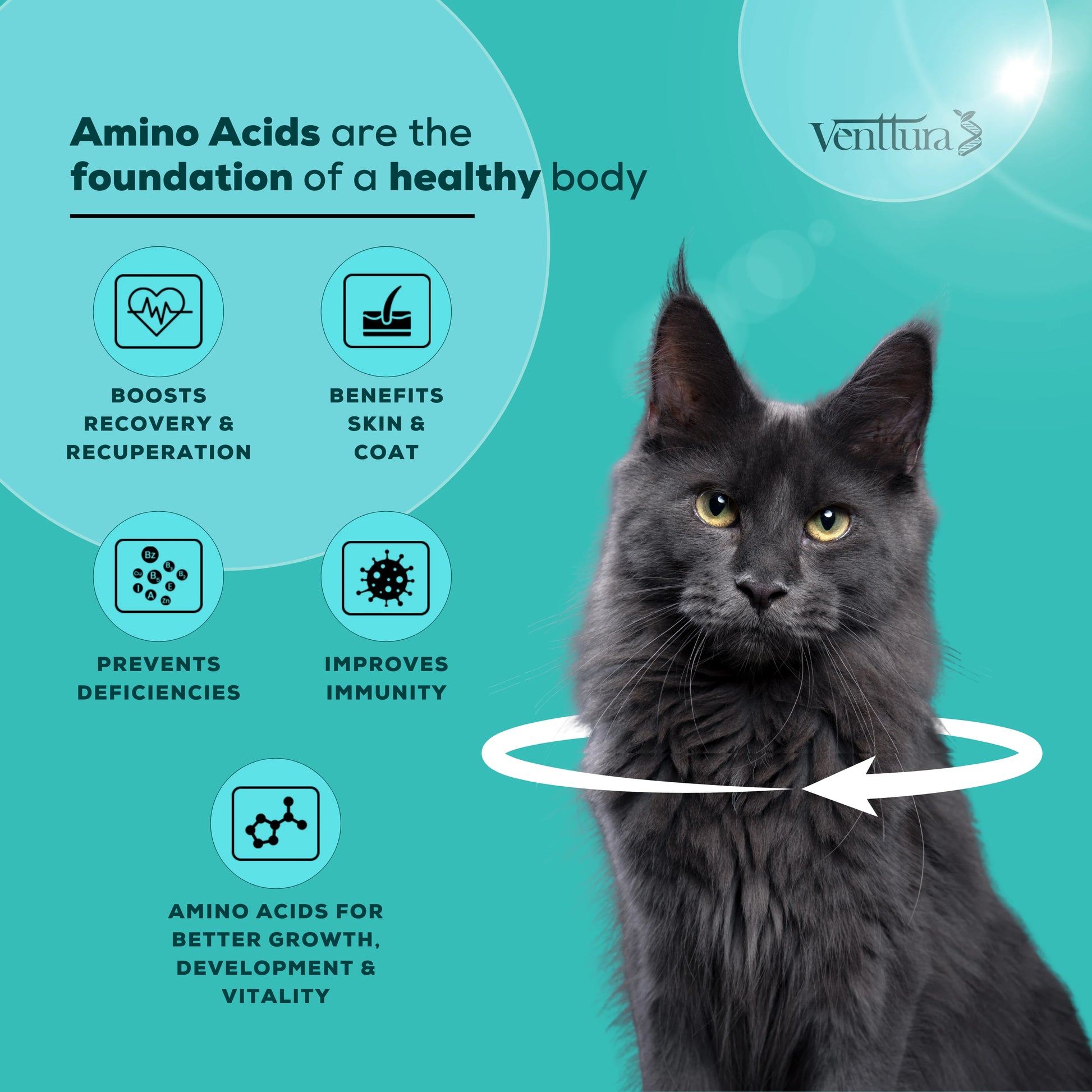 Amino+ Cat supplement benefits include supporting growth and development, boosting immunity, and improving skin and coat health in cats
