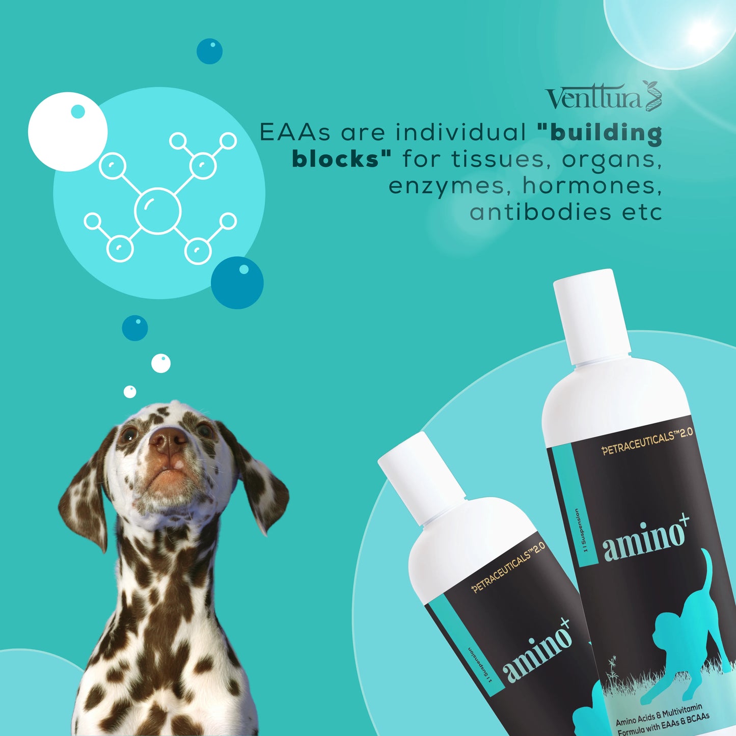 Essential Amino Acids for Growing Puppies helps in muscle development, promotes growth, Faster Recuperation