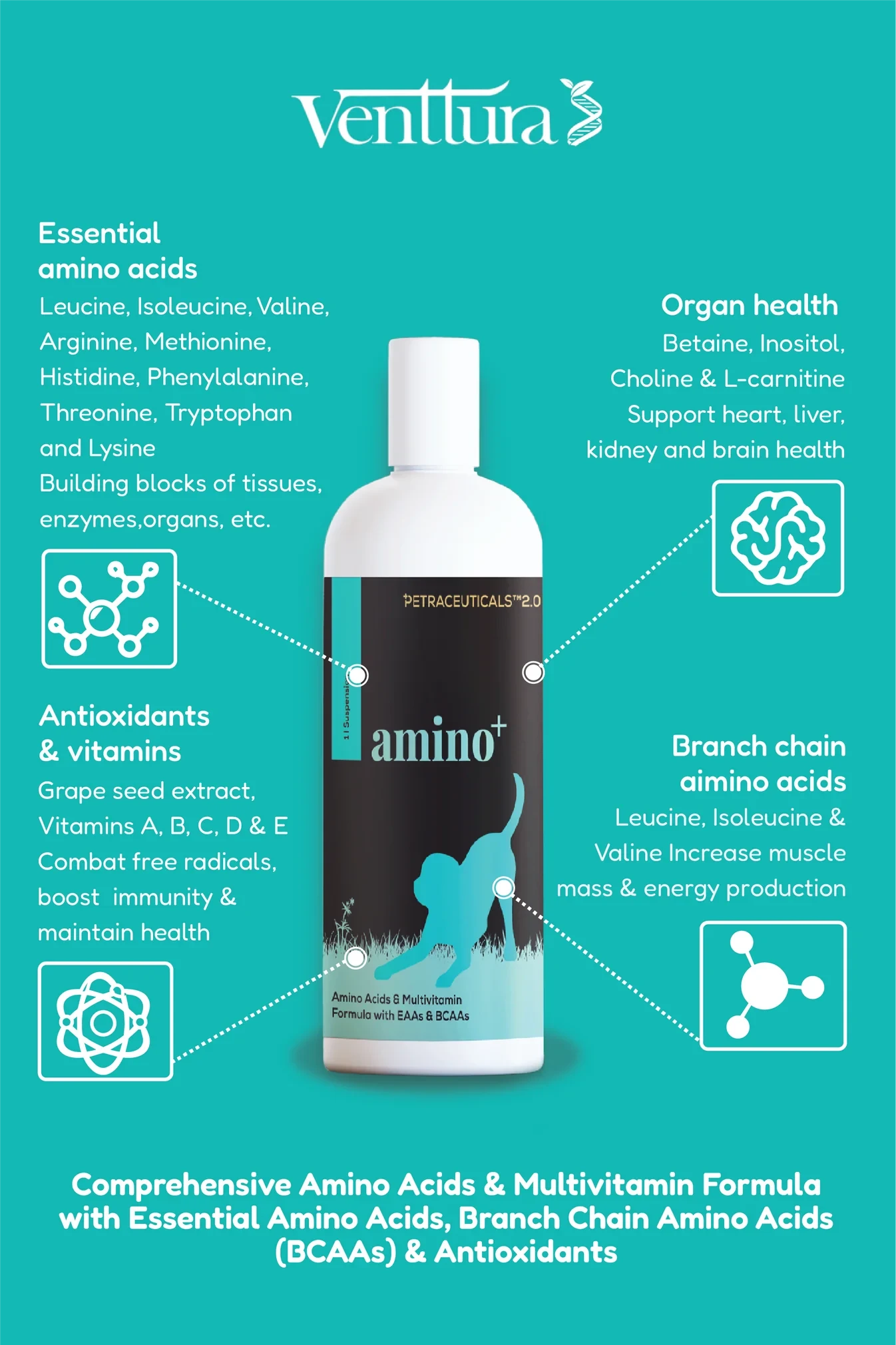 amino+ supplement for dogs image by venttura bioceuticals 