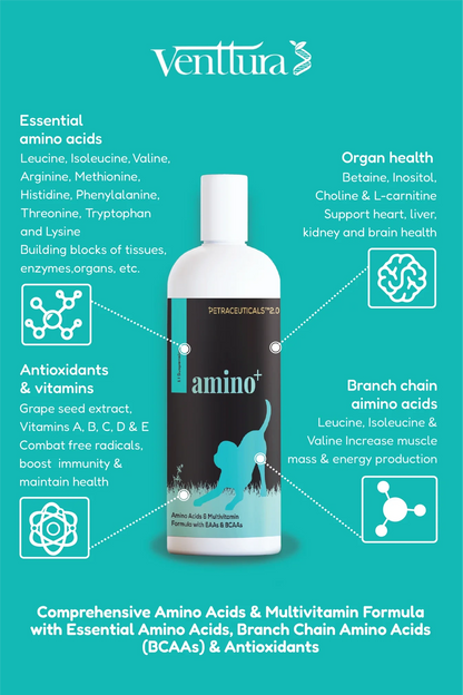 amino+ supplement for dogs image by venttura bioceuticals 