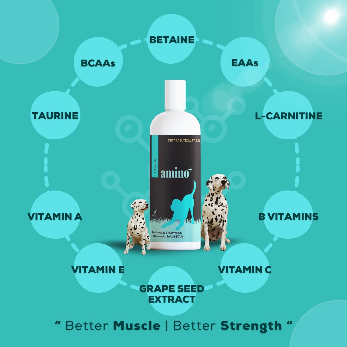 amino+ supplement for dogs image by venttura bioceuticals 