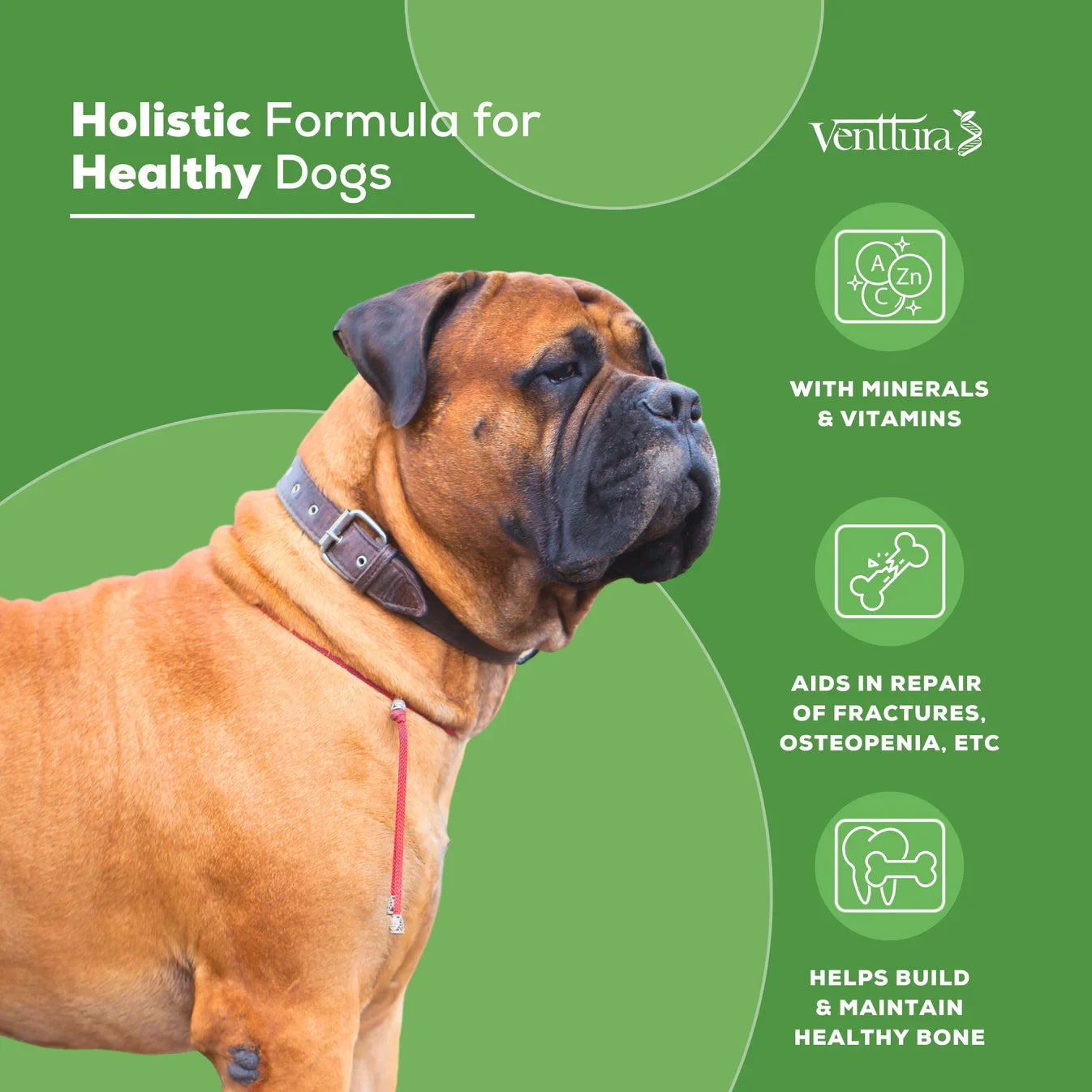  
 	
Two dogs standing, showcasing the benefits of Calci+ Pro calcium supplement for dogs, including strong bones, better growth, and prevention of deficiencies with highly absorbable nutrients.