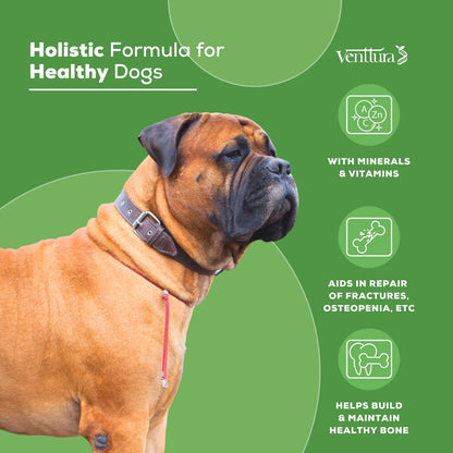  
 	
Two dogs standing, showcasing the benefits of Calci+ Pro calcium supplement for dogs, including strong bones, better growth, and prevention of deficiencies with highly absorbable nutrients.