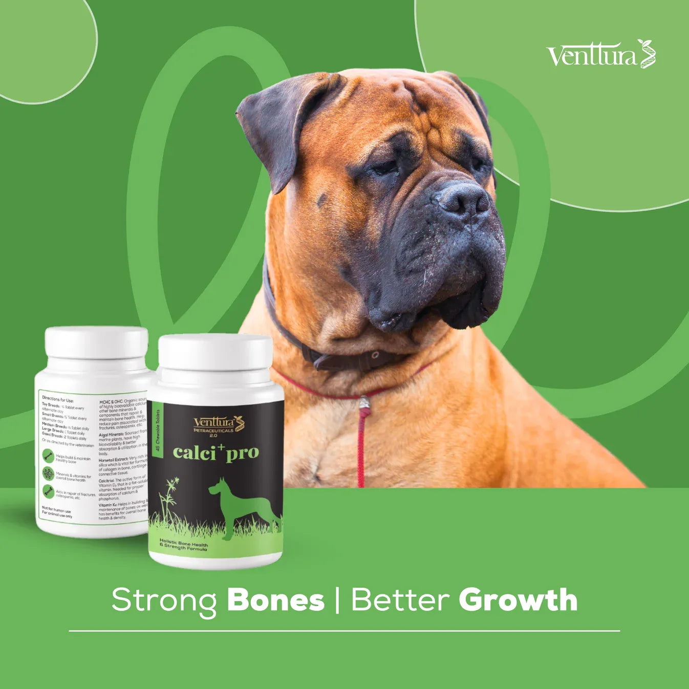 Bottle of Calci+ Pro supplement for dogs with overlay text highlighting benefits, including a holistic bone health and strength formula