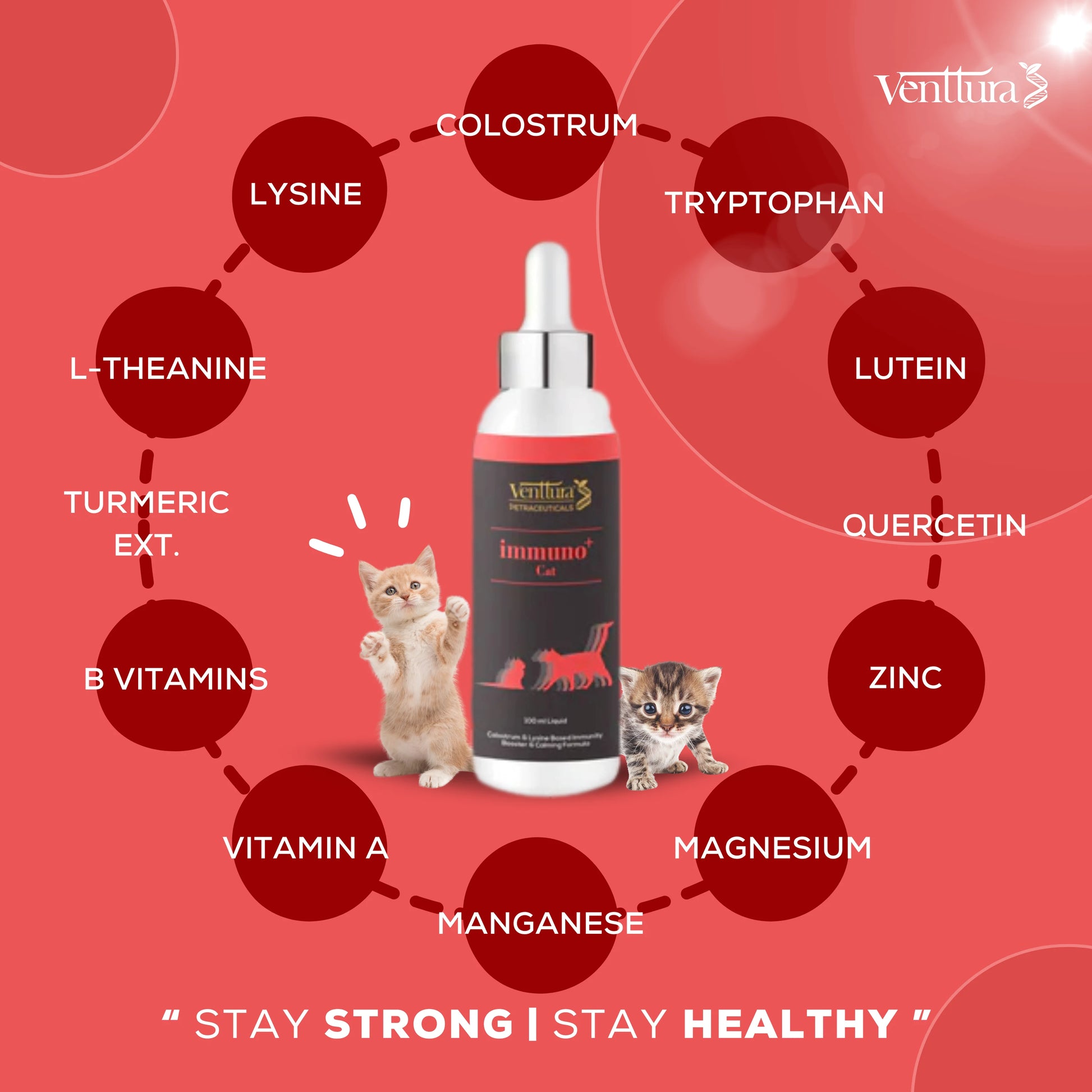A cat sitting with an overlay showcasing the benefits of Immuno+ Cat supplement, including enhanced immunity, reduced anxiety, calming effects, and allergy support.