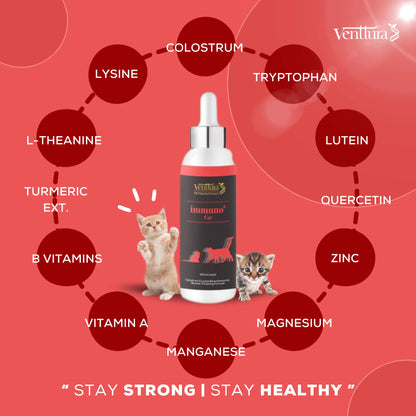 A cat sitting with an overlay showcasing the benefits of Immuno+ Cat supplement, including enhanced immunity, reduced anxiety, calming effects, and allergy support.