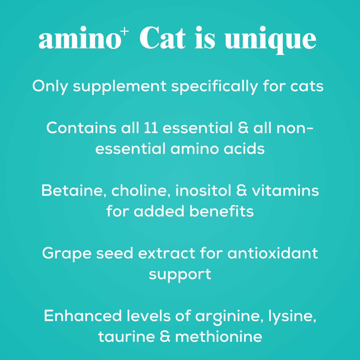 amino+ Cat