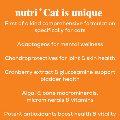 nutri+ Cat | Live Longer | Feel Stronger