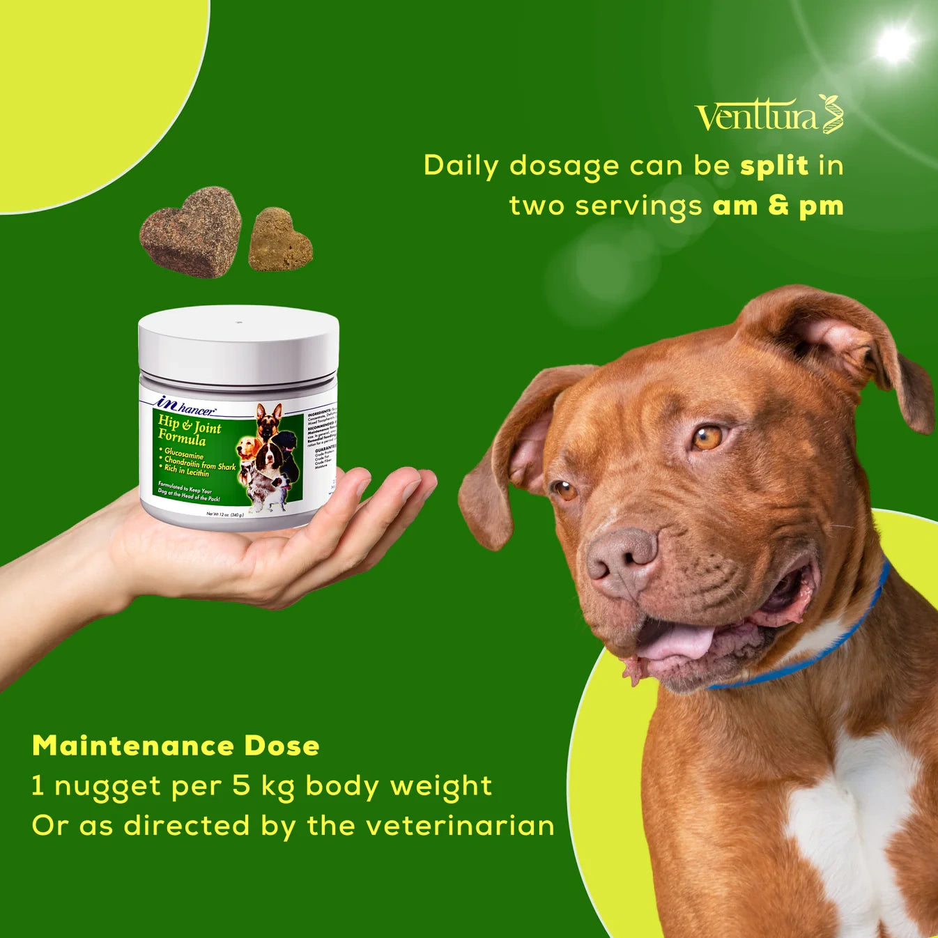 Venttura INhancer joint supplement with daily dosage instructions. Shown with a Pitbull and human hand. 1 nugget per 5kg body weight, can be split into AM and PM servings.