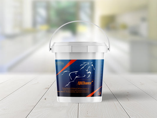 Venttura EQUIhance+ supplement for horses, a holistic formula supporting growth, breeding, gestation, lactation, muscle mass development, joint health, skin & coat, and overall performance