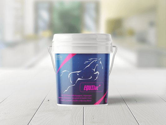 EQUIlac+ supplement for horses by Venttura Biocueticals, designed to promote healthy lactation, improve milk quality and quantity, and support uterine health in nursing mares.