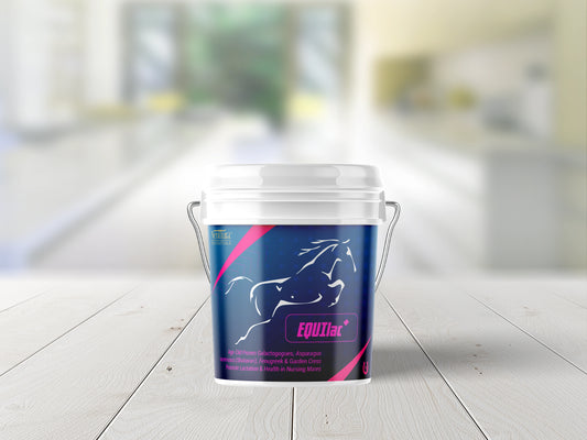 EQUIlac+ supplement for horses by Venttura Biocueticals, designed to promote healthy lactation, improve milk quality and quantity, and support uterine health in nursing mares.