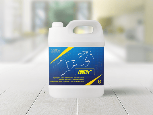EQUIliv+ supplement for horses by Venttura Biocueticals, a comprehensive liver support formula designed to aid liver repair, detoxification, and digestive health.