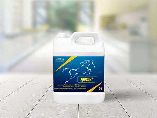 EQUIliv+ supplement for horses by Venttura Biocueticals, a comprehensive liver support formula designed to aid liver repair, detoxification, and digestive health.
