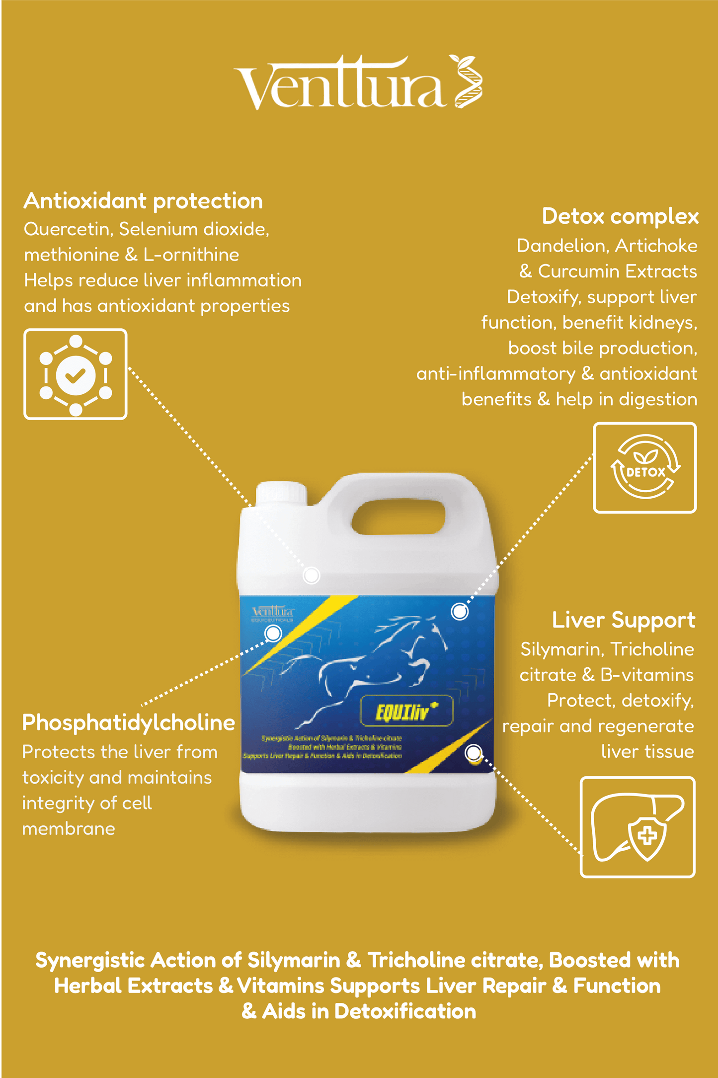 EQUIliv+ supplement can by Venttura Biocueticals surrounded by key benefits, such as liver detox, repair, bile production support, and digestive health for horses.