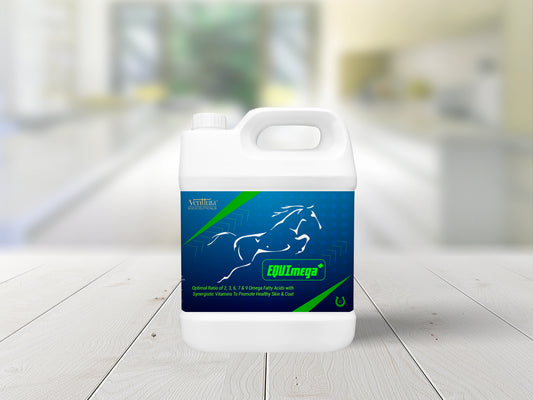 EQUImega+ supplement for horses by Venttura Biocueticals, a blend of omega fatty acids that promote skin & coat health, joint support, digestive health, and immunity.