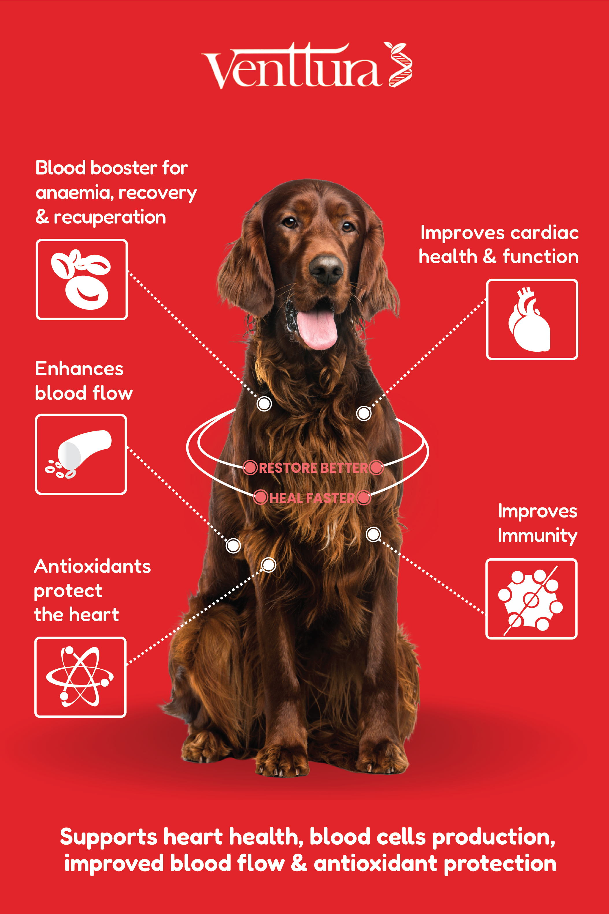 Preventing tick fever in cats and dogs