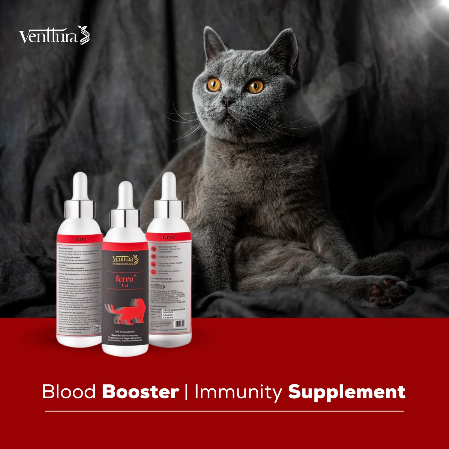A cat sitting calmly next to Venttura’s Ferro+ supplement bottle. The image highlights the tagline: 'Blood booster immunity supplement for cats', promoting iron and immune support.