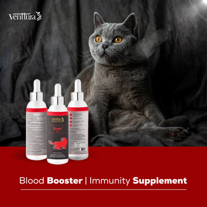 A cat sitting calmly next to Venttura’s Ferro+ supplement bottle. The image highlights the tagline: 'Blood booster immunity supplement for cats', promoting iron and immune support.