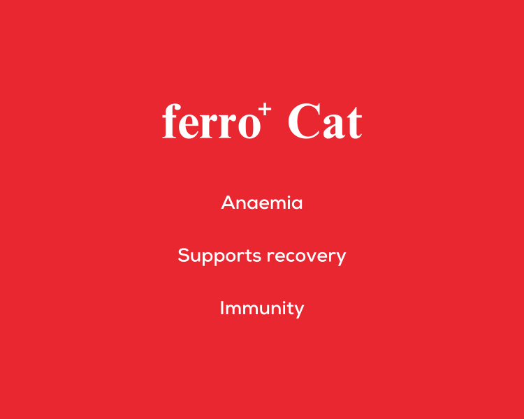 Ferro+ Cat supplement benefits include supporting recovery from anemia, boosting immunity, and improving overall vitality in cats