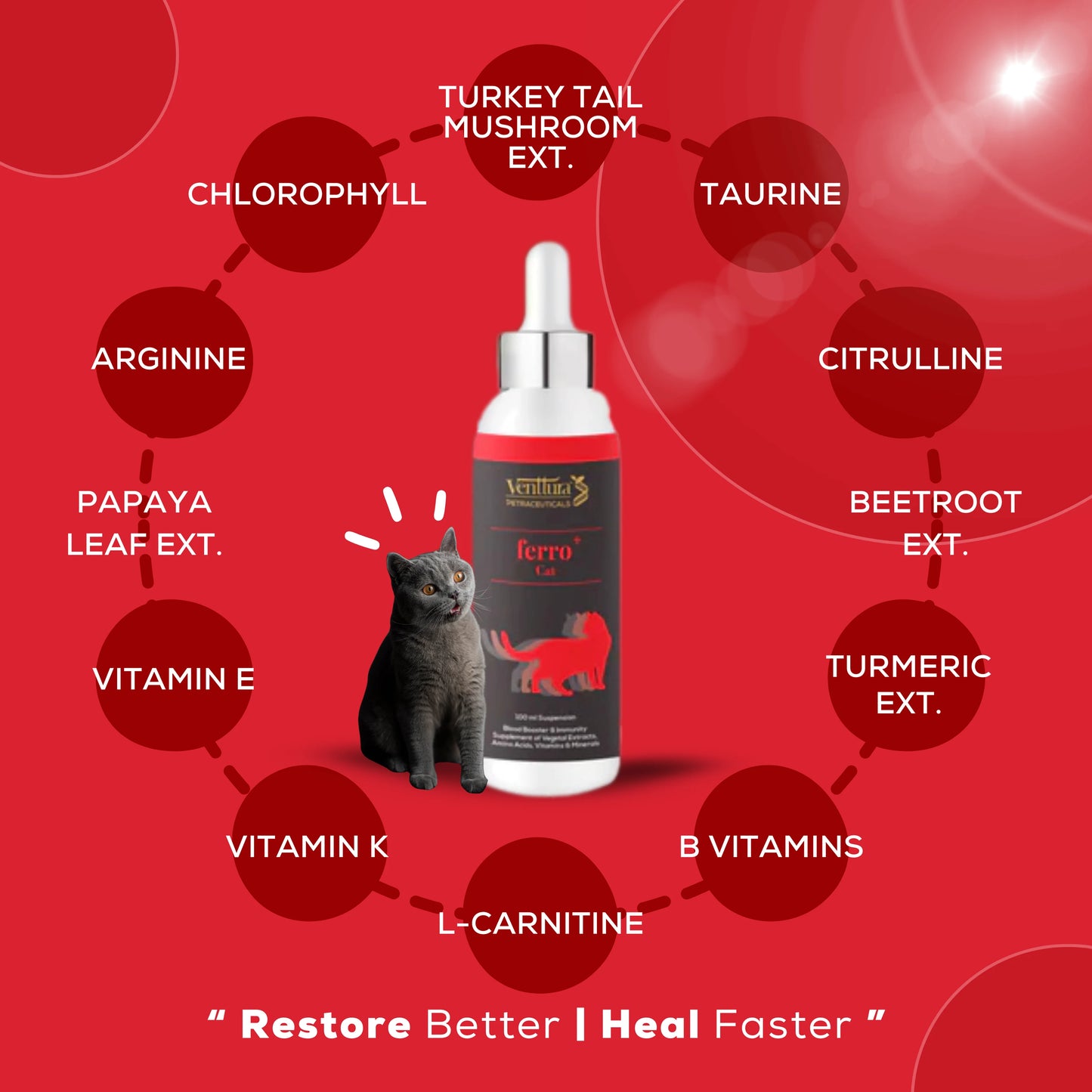 Venttura Ferro+ Cat supplement bottle surrounded by its benefits, featuring blood flow improvement, red blood cell production, anemia recovery, and immunity boost for cats.