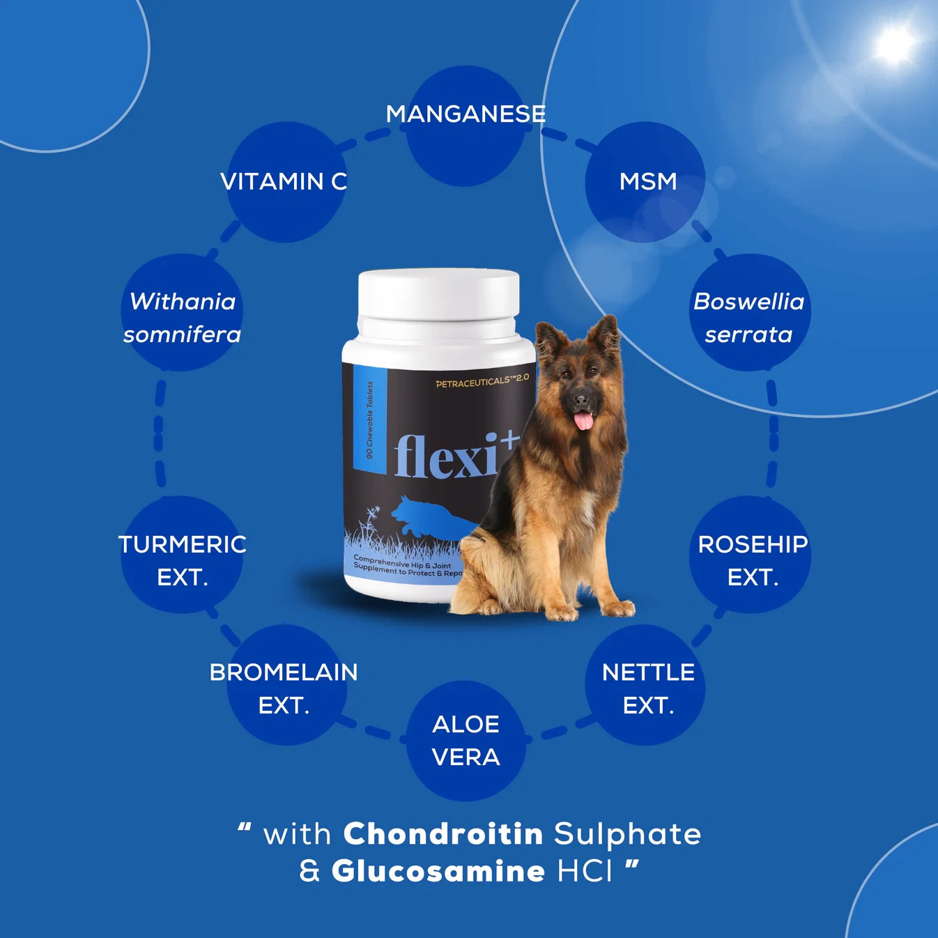 "Flexi+ by Venttura Bioceuticals - the only joint supplement with a comprehensive formulation for cartilage repair and regeneration, improving mobility, and containing herbal extracts for pain and inflammation reduction.