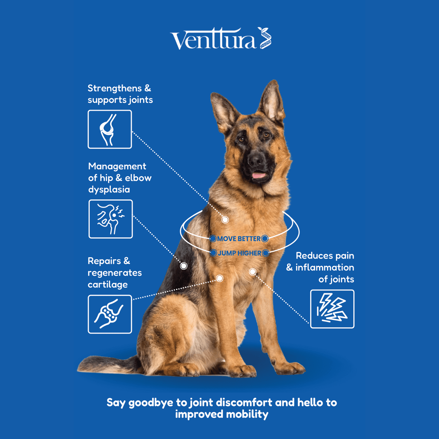 A German Shepherd sitting with Flexi+ benefits overlay by Venttura Bioceuticals - supports joint health and mobility.