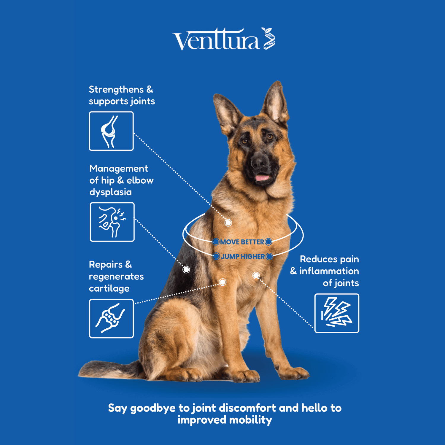 A German Shepherd sitting with Flexi+ benefits overlay by Venttura Bioceuticals - supports joint health and mobility.